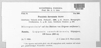 Puccinia dovrensis image